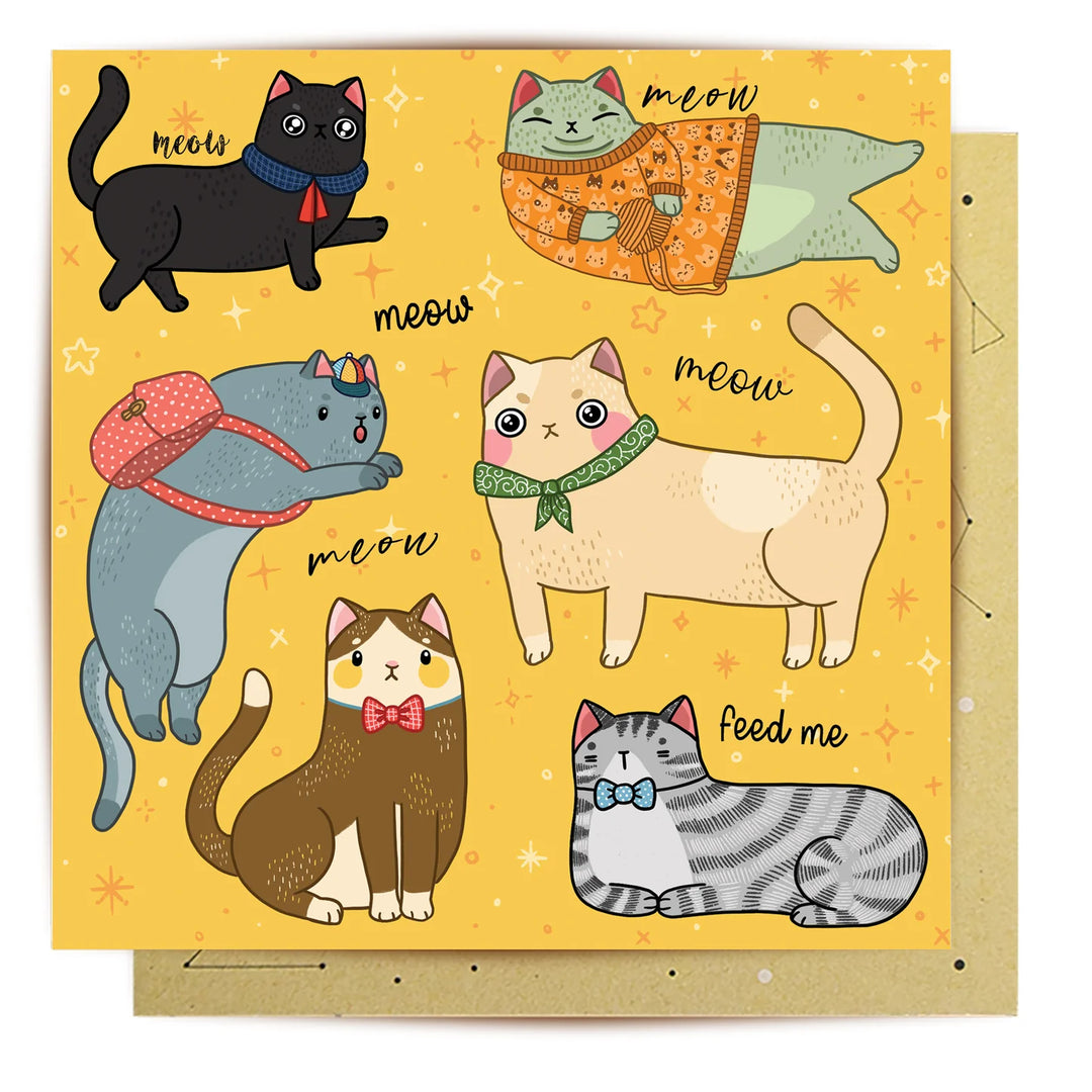 Cat Nonsense