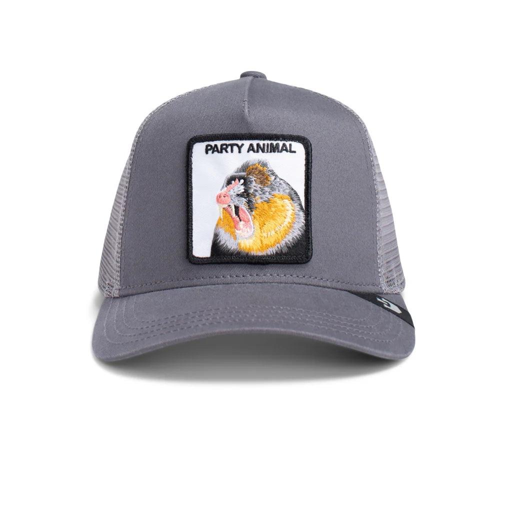 Goorin Bros - The Party Animal Grey