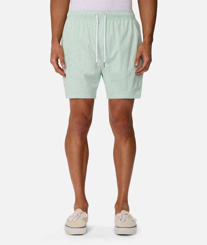 Light Weight Anguilla Swim Short - Mint Combo