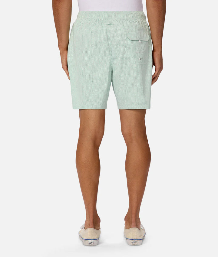 Light Weight Anguilla Swim Short - Mint Combo