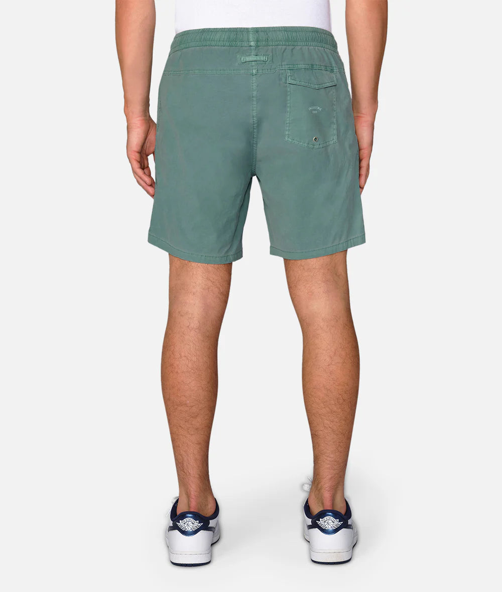 The Bahama Angler - Fern