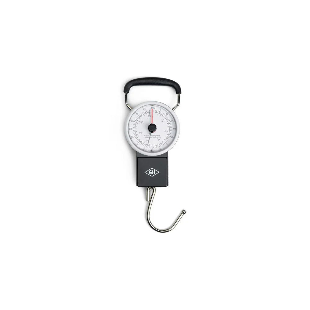 Travel Scale
